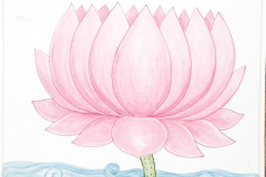 04J-Lotus