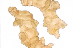 06A-Ginger