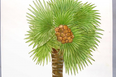 14D Palmyra Tree