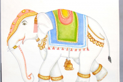 22G Elephant