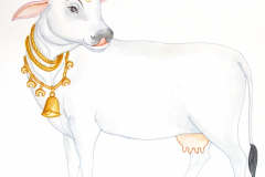 23D Cow