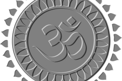 Grey Coin Aum