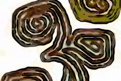 coir om