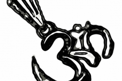Crowned Om