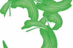 Green Leaf Aum