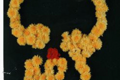Yellow Marigold Om