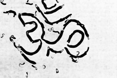 aum-b-w-brahmachari_ful