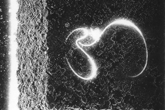 aum-b-w-japanese_ful