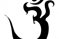 aum-b-w-krishna_ful