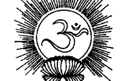 aum-b-w-llama_ful