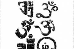 aum-b-w-sadhu_ful