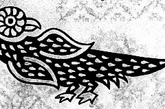 xxAnimals_Birdie