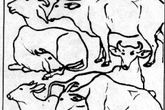 xxAnimals_Cows together