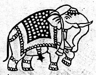 xxAnimals_Elephant 3