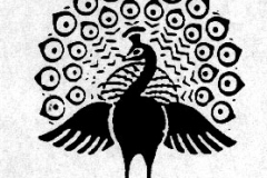 xxAnimals_Mayil 4