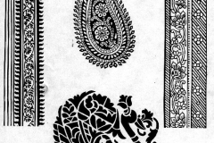 xxAnimals_Mayil-Mangolam