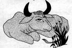 xxAnimals_Sleepy Cow