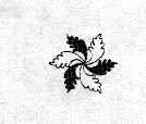 xxArt_Leaf rosette