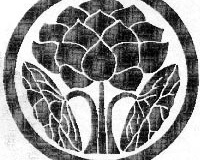 xxPLANTS_Lotus 2