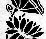 xxPLANTS_Lotus 3
