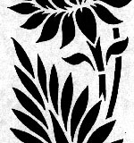 xxPLANTS_Lotus 4