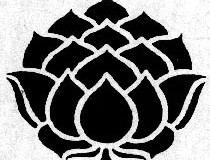 xxPLANTS_Lotus 5