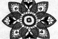 xxPLANTS_Lotus 8