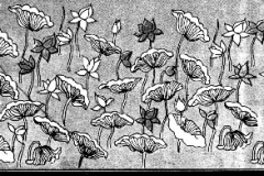 xxPLANTS_Lotus's 7