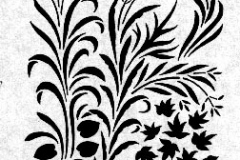 xxPLANTS_Poetic weeds