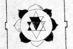 xxSigns of the zodiac
