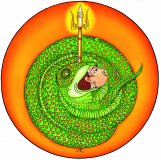 11 Rajam Vedic Symbols
