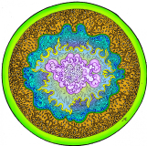 14 Rajam Vedic Symbols