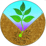 18 Rajam Vedic Symbols