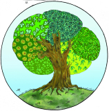 30 Rajam Vedic Symbols