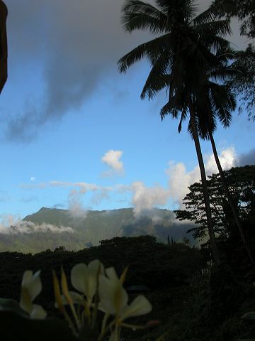 \"Image