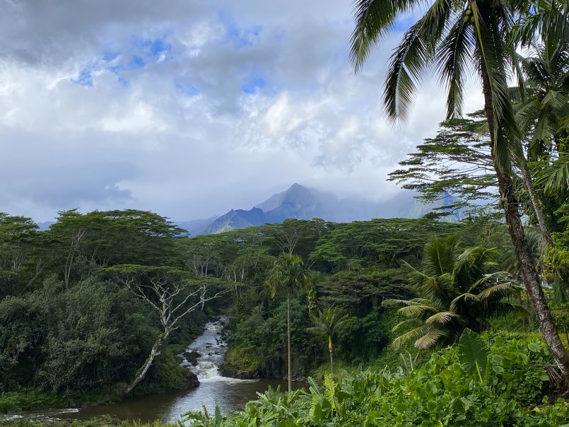 Outing to Ho'opi'i Falls