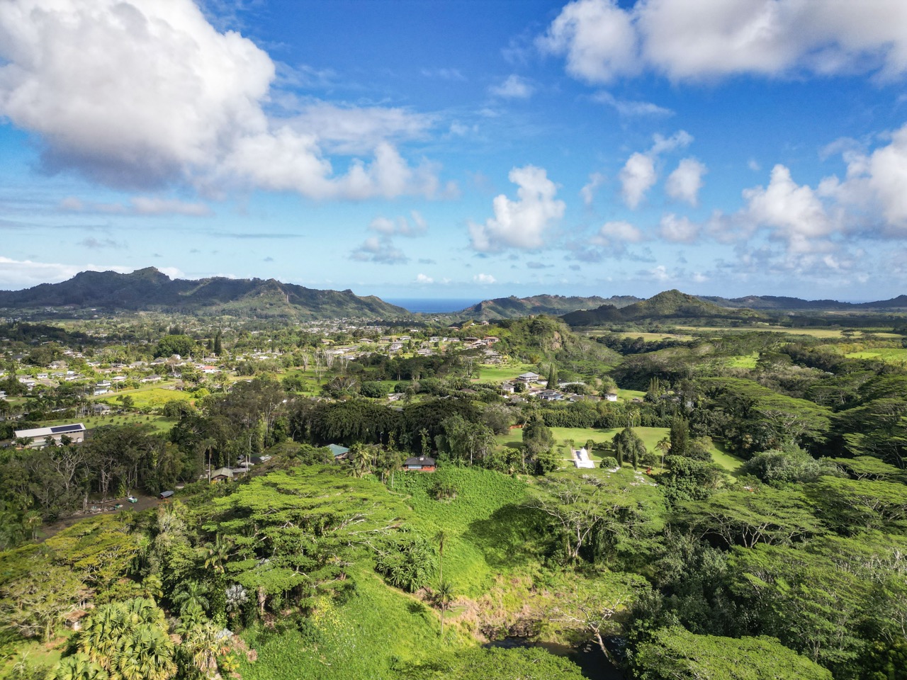 Drone Piloting - Kauai's Hindu Monastery