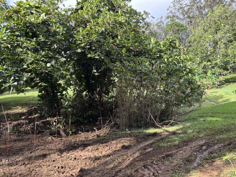 New Culvert Before Rishi Valley Area